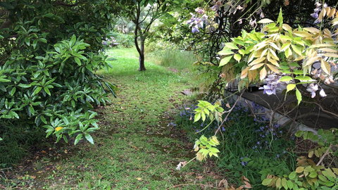 Lorelei Bed & Breakfast - Australian Directory 10