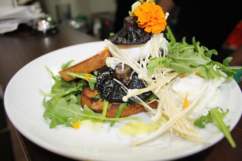 10 Hastings Street Motel - Australian Directory 29