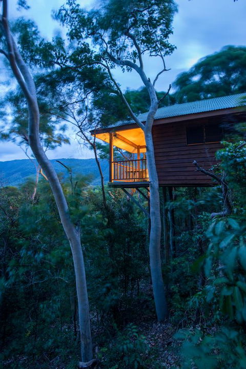 Thala Beach Nature Reserve - Australian Directory 19
