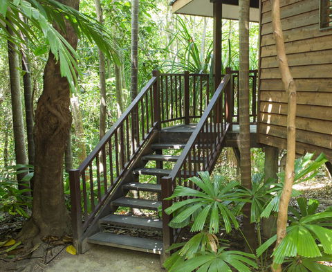 Thala Beach Nature Reserve - Australian Directory 22
