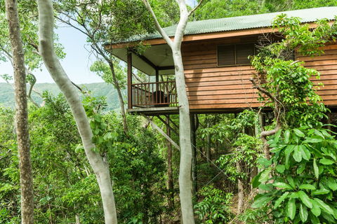 Thala Beach Nature Reserve - Australian Directory 17