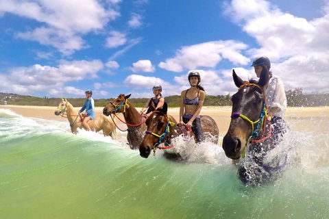 Salty Vibes Retreat - Australian Directory 6