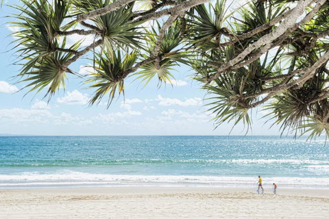 Netanya Noosa Beachfront Resort - Australian Directory 38