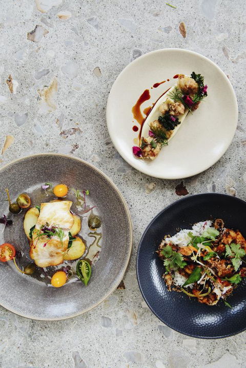 Pullman Port Douglas Sea Temple Resort And Spa - Australian Directory 34