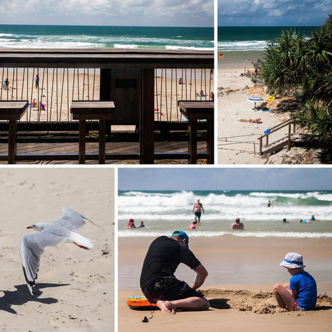 Coolum Caprice - Australian Directory 15