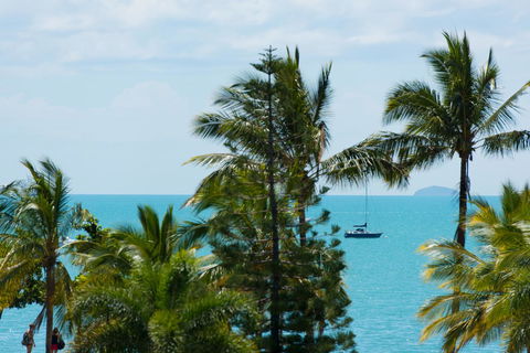 Heart Hotel And Gallery Whitsundays - Australian Directory 13