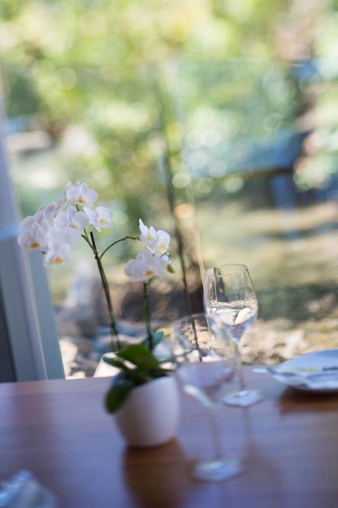 Heart Hotel And Gallery Whitsundays - Australian Directory 23