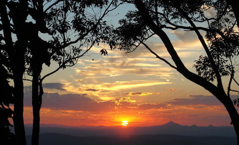 The Polish Place - Australian Directory 20