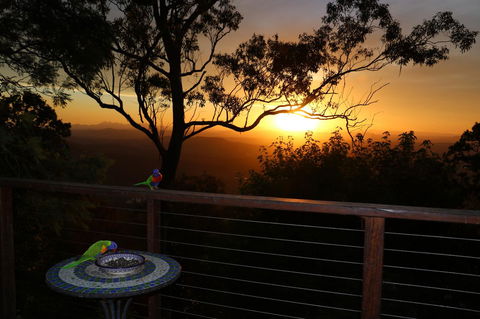 The Polish Place - Australian Directory 17