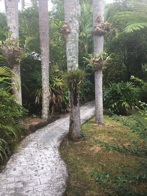 Eco Village Mission Beach - Australian Directory 6