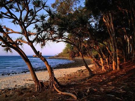 Bayona 1 Little Cove - Australian Directory 21