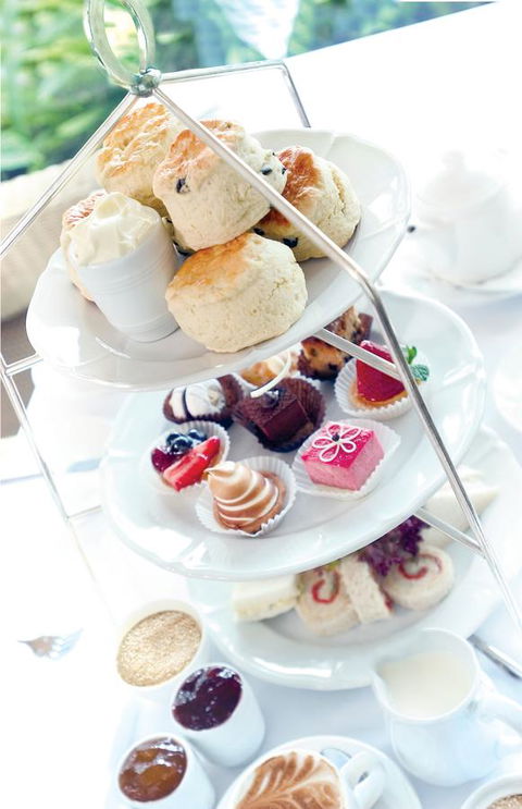 Stamford Plaza Brisbane - Australian Directory 37