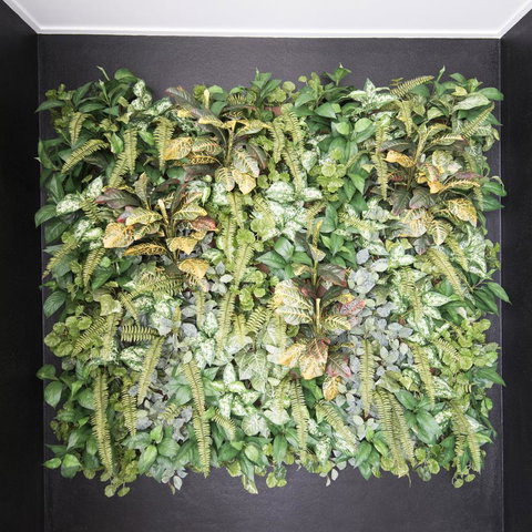 Riviera Mackay - Australian Directory 22