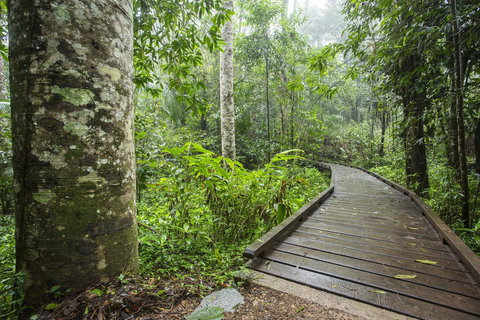 Riviera Mackay - Australian Directory 25