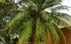 Hepburn Holiday Haven - thumb 26