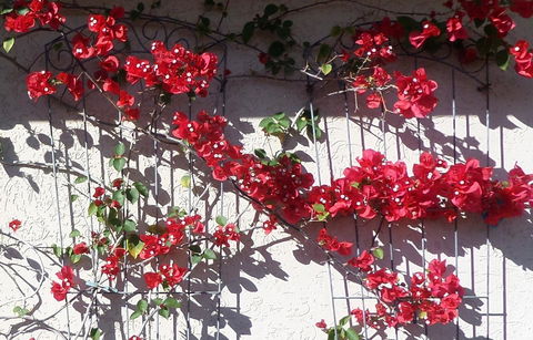 Gaia On Bribie Island - Australian Directory 35