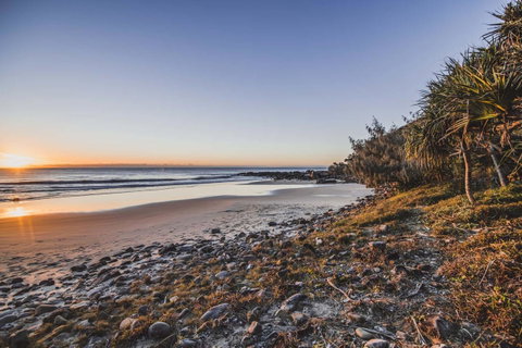 The Point Coolum - Australian Directory 4