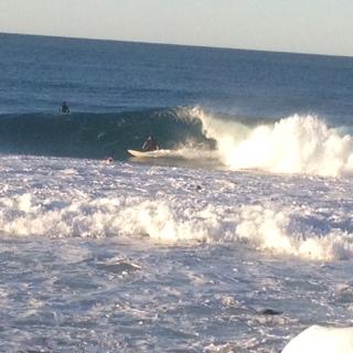 Oceania On Burleigh Beach - Australian Directory 27
