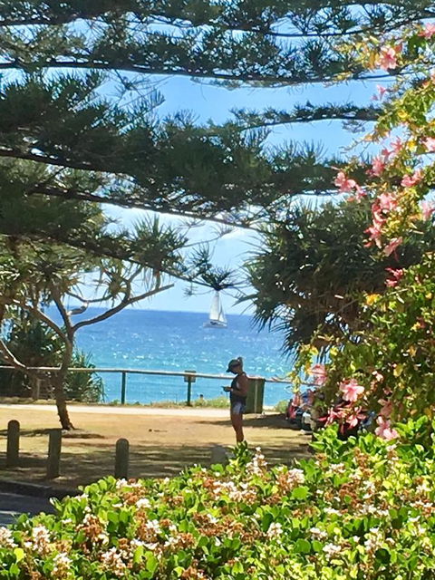 Oceania On Burleigh Beach - Australian Directory 25