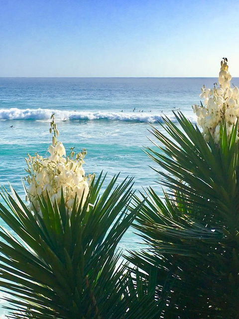 Oceania On Burleigh Beach - Australian Directory 21