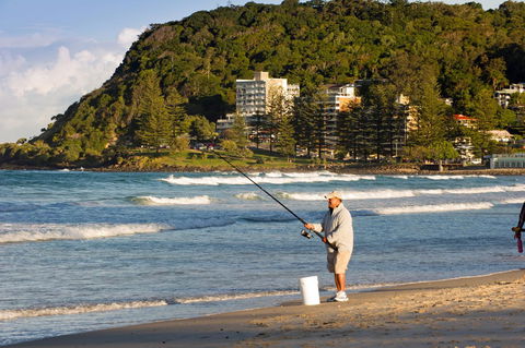 2nd Avenue Beachside Apartments - Australian Directory 20