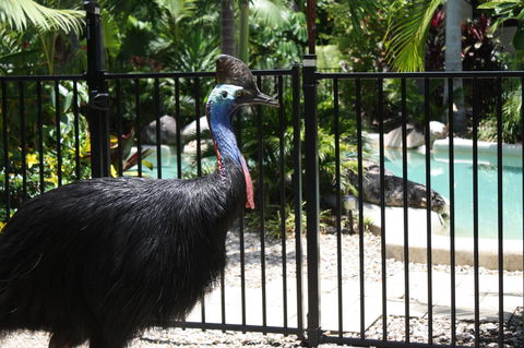 Boutique Bungalows - Australian Directory 17