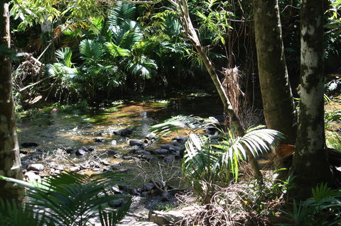 Boutique Bungalows - Australian Directory 18