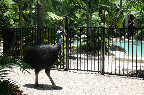 Boutique Bungalows - Australian Directory 15
