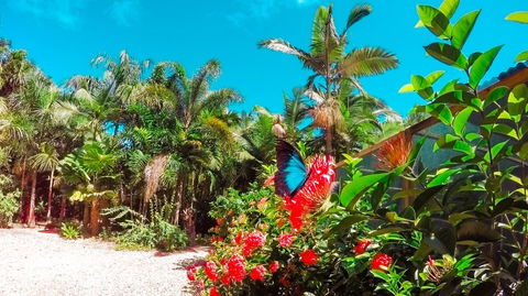 Boutique Bungalows - Australian Directory 14