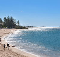 The Norfolks on Moffat Beach - Australian Directory