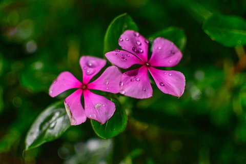 Blue Summit Hideaway - Australian Directory 25