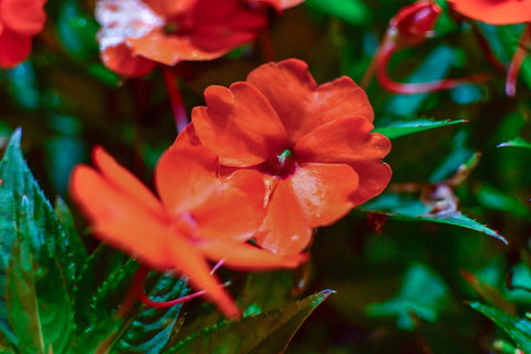 Blue Summit Hideaway - Australian Directory 11