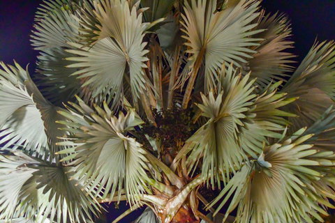 Blue Summit Hideaway - Australian Directory 31