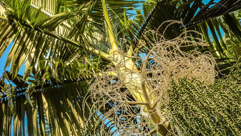 Blue Summit Hideaway - Australian Directory 20