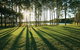 InterContinental Sanctuary Cove Resort, An IHG Hotel - thumb 26
