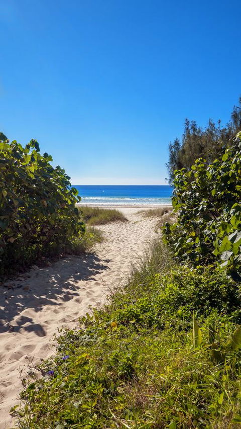 Bilinga Beach Motel - Australian Directory 26