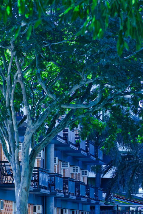 Soho Brisbane - Australian Directory 12