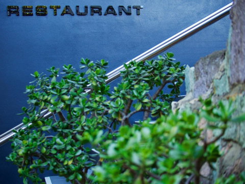 Soho Brisbane - Australian Directory 22