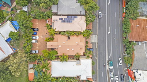 City Palms Brisbane - Australian Directory 30