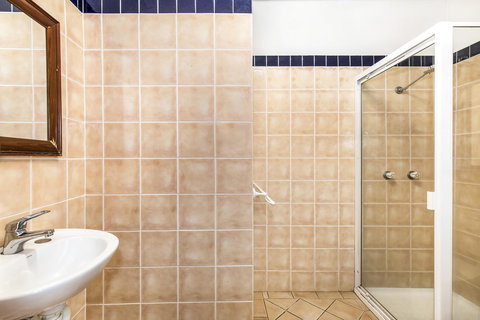 City Palms Brisbane - Australian Directory 21