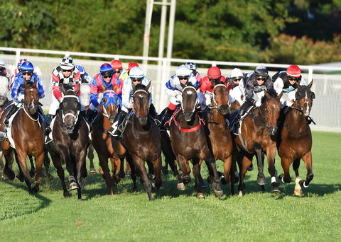 Best Western Airport 85 Motel - Australian Directory 10