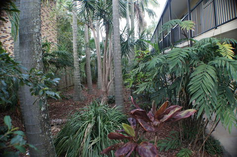 Best Western Airport 85 Motel - Australian Directory 34