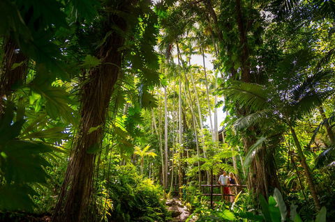 Cairns Colonial Club Resort - Australian Directory 22