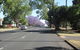 Riviera On Ruthven - thumb 15