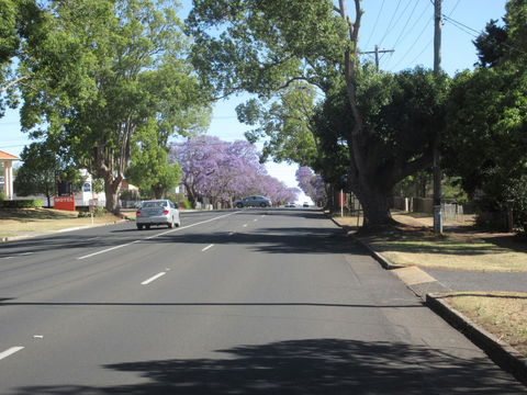 Riviera On Ruthven - Australian Directory 15