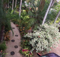 Casuarina - Australian Directory