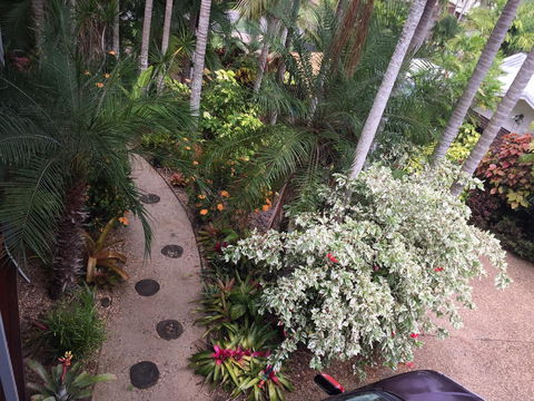 Casuarina - Australian Directory 0