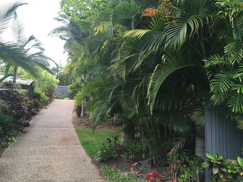 Casuarina - Australian Directory 21