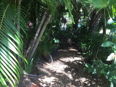Casuarina - Australian Directory 12