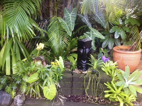 Bluewater Bed & Breakfast Cairns - Australian Directory 16